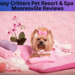 Classy Critters Pet Resort & SPA llc Mooresville Reviews