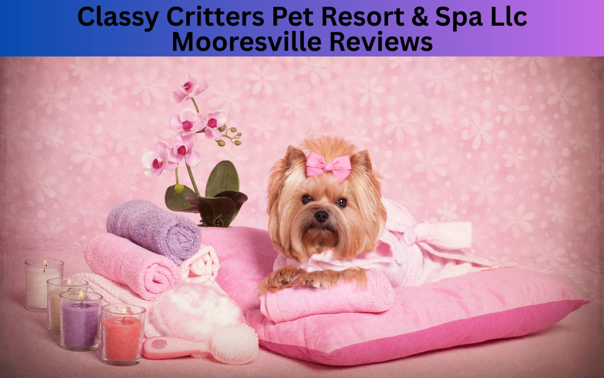 Classy Critters Pet Resort & SPA llc Mooresville Reviews
