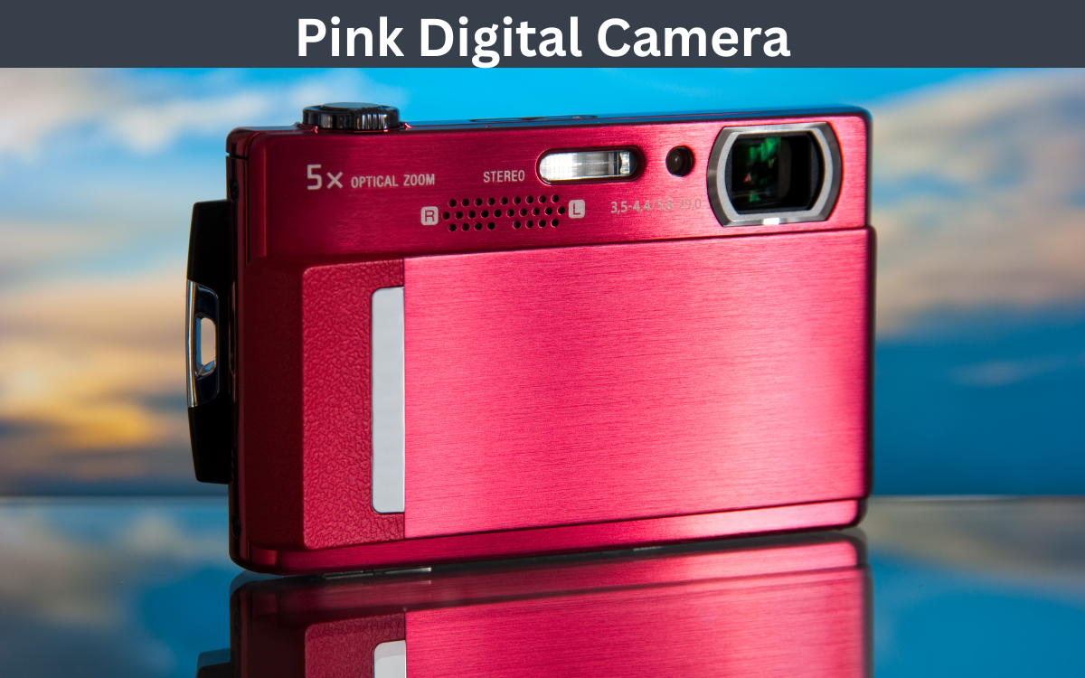Pink Digital Camera