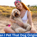 Can I Pet That Dog Original