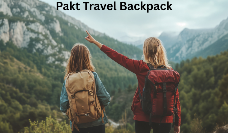 Pakt Travel Backpack
