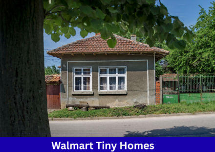 Walmart Tiny Homes